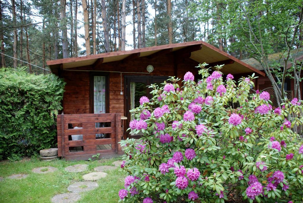 Audrones sodyba Šventoji Exterior foto